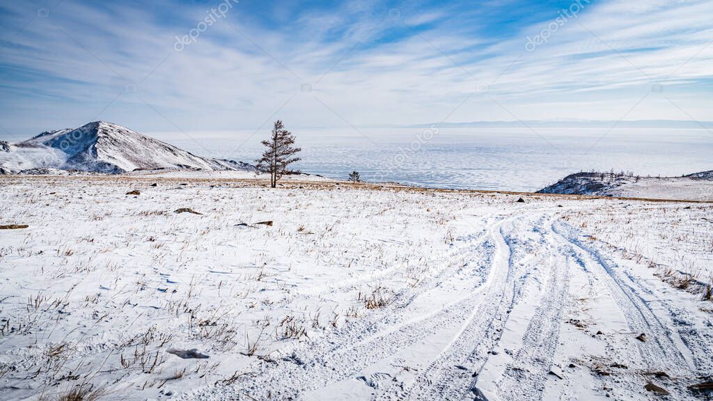 A lone larch stands on the steep slope of Lake Baikal on the edge of the Tazheran steppe.