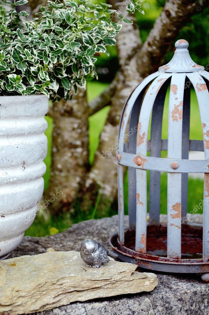 Une Cage Doiseau Avec Un Oiseau De Petite Déco Dans Un