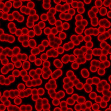 Hücre seamless modeli