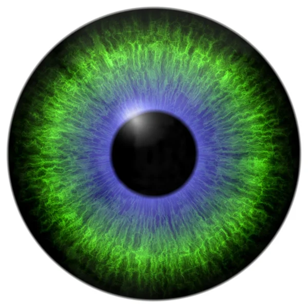 Groen - blauwe oog-iris — Stockfoto