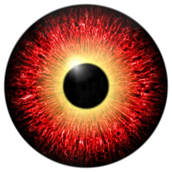 Olho vermelho isolado — Fotografia de Stock