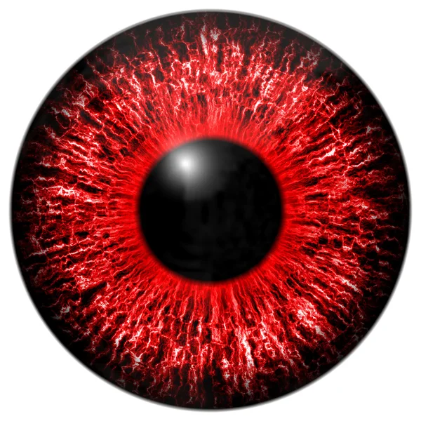 Red eye iris — Stock Photo, Image