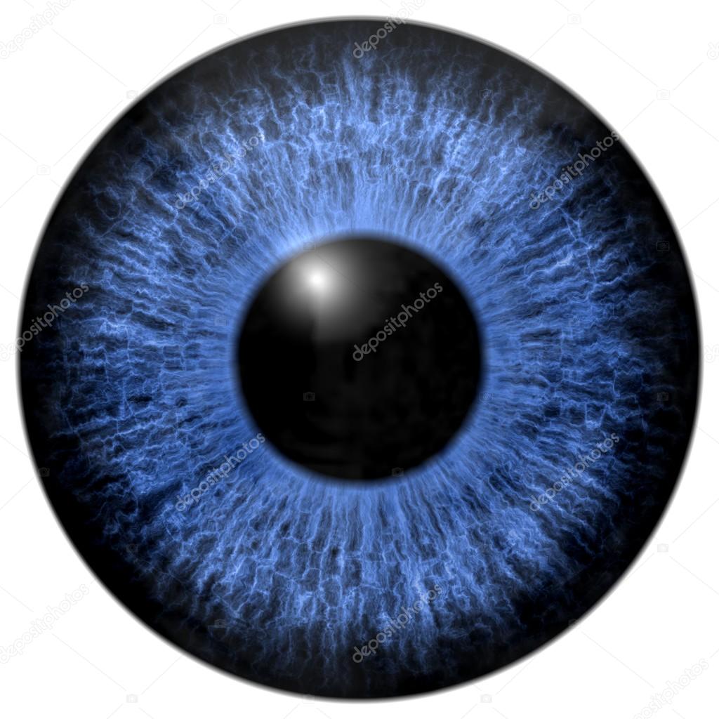 Blue eye iris