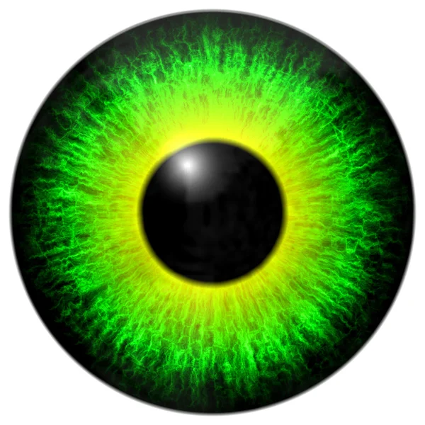 Green yellow eye iris — Stock Photo, Image