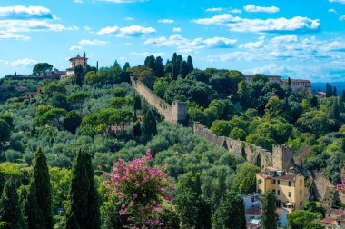 Italy Florence wall in the forest