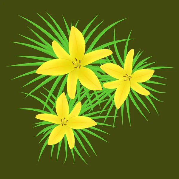 Asijské lilie "Máslo skřítek", lilium, žlutý květ. — Stockový vektor
