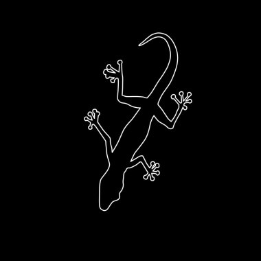 Siyah arka plan üzerine izole gecko.