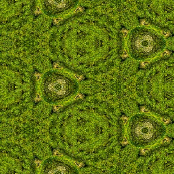Abstrakte Dekorative Grüne Moos Hintergrund Nahtloses Muster — Stockfoto