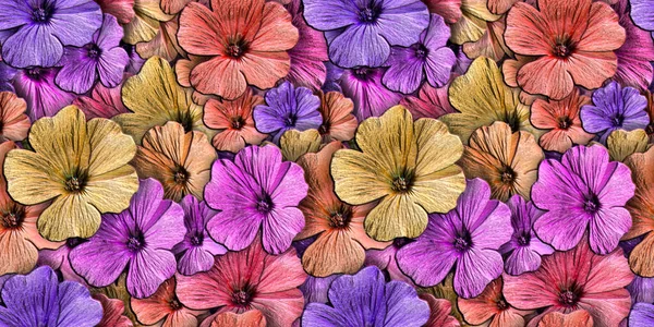 ゼラニウムの花とカラフルな3D背景 シームレスなパターン レンダリング図 — ストック写真