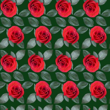 Kırmızı gül çiçekleri ve yeşil yapraklı yeşil arkaplan. Sonsuz renkli çiçek desenli. Raster illüstrasyonu.