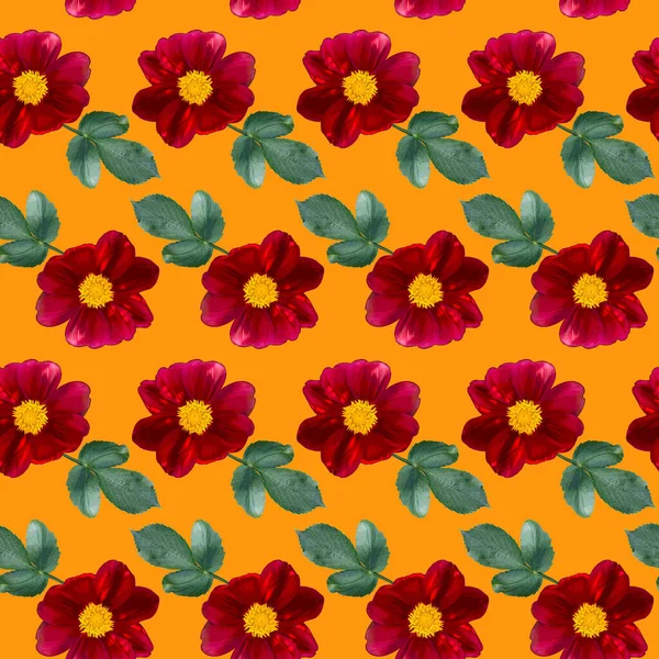 オレンジ色の背景に赤いダリアの花や緑の葉を持つシームレスなパターン 無限の花の質感 ラスターカラフルなイラスト — ストック写真