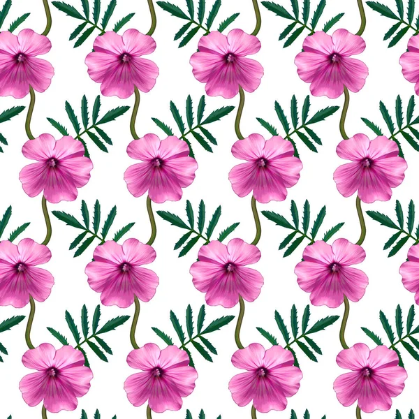 Płynny Wzór Różowymi Kwiatami Geranium Zielonymi Liśćmi Białym Tle Niekończąca — Zdjęcie stockowe