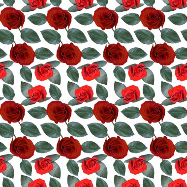 Kırmızı gül çiçekleri ve beyaz arka planda yeşil yapraklı pürüzsüz desenler. Sonsuz renkli çiçek desenli. Raster illüstrasyonu.