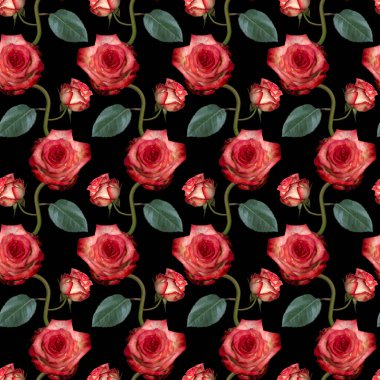 Pembe gül çiçekleri ve siyah arka planda yeşil yapraklı pürüzsüz desenler. Sonsuz renkli çiçek desenli. Raster illüstrasyonu.