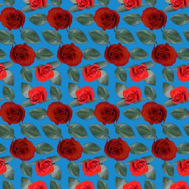 Kırmızı gül çiçekleri ve mavi arka planda yeşil yapraklı pürüzsüz desenler. Sonsuz renkli çiçek desenli. Raster illüstrasyonu.