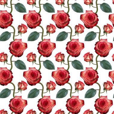 Pembe gül çiçekleri ve beyaz arka planda yeşil yapraklı pürüzsüz desenler. Sonsuz renkli çiçek desenli. Raster illüstrasyonu.