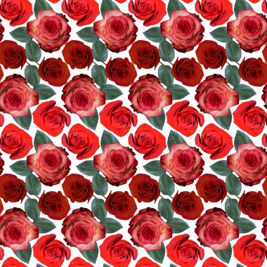 Kusursuz desenli, kırmızı, pembe gül çiçekleri ve beyaz arka planda yeşil yapraklar. Sonsuz renkli çiçek desenli. Raster illüstrasyonu.