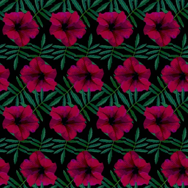 Motif Sans Couture Avec Des Fleurs Pétunia Rouge Des Feuilles — Photo