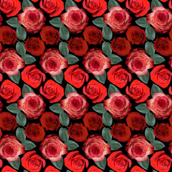 Modello Senza Cuciture Con Rosso Rosa Fiori Rosa Foglie Verdi — Foto Stock