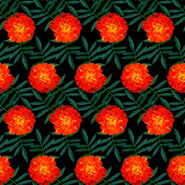 Бесшовный Рисунок Оранжевым Tagetes Patula Французская Мэриголд Цветы Зеленые Листья — стоковое фото