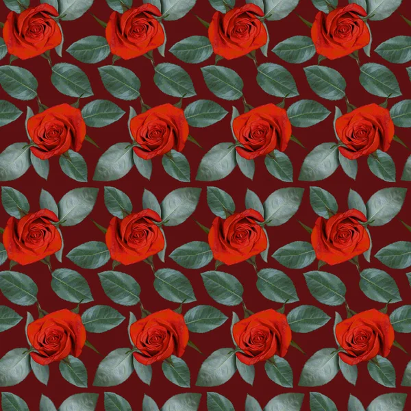 Bezproblémový Vzor Červenými Květy Růží Zelenými Listy Červeném Pozadí Nekonečná — Stock fotografie