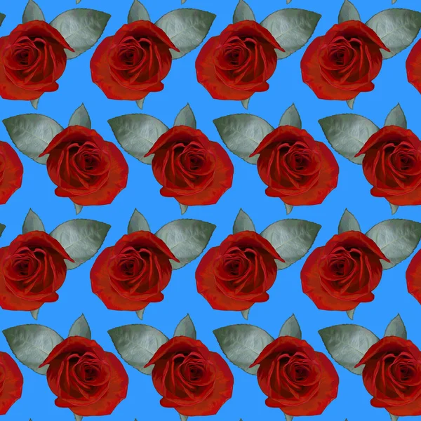 Bezproblémový Vzor Červenými Květy Růží Zelenými Listy Modrém Pozadí Nekonečná — Stock fotografie