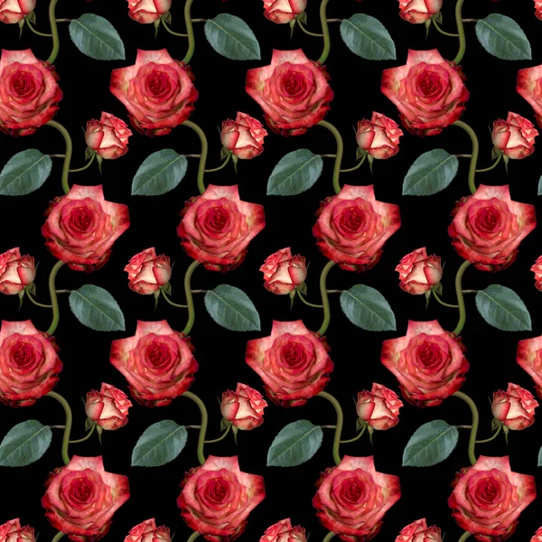 Seamless Pattern Pink Rose Flowers Green Leaves Black Background Endless — Stock Photo, Image