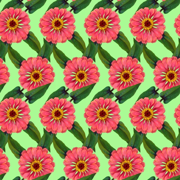 Seamless Pattern Pink Zinnia Flowers Green Leaves Green Background Endless — 图库照片