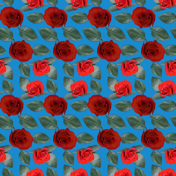 Seamless Pattern Red Rose Flowers Green Leaves Blue Background Endless — Stock Photo, Image