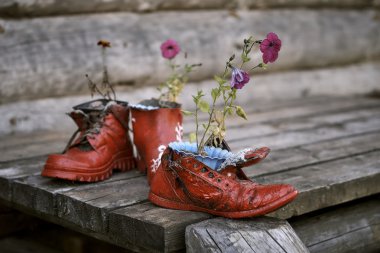 Çiçek saksısı olarak kullanılan eski çizmeler