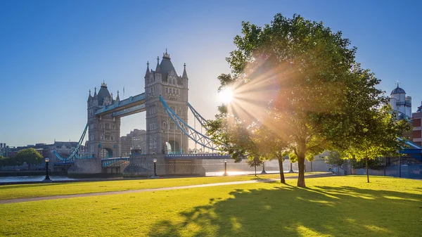 Wschód słońca w Tower Bridge z drzewa i trawa zielona, Londyn, Wielka Brytania — Zdjęcie stockowe