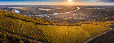 Tokaj, Macaristan - Tokaj kasabası, Tisza nehri ve sıcak bir sonbahar sabahı arkaplanda altın gündoğumu ile dünyaca ünlü Tokaj şarap bölgesinin havadan panoramik manzarası