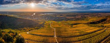 Tokaj, Macaristan - Tokaj kasabası, Tisza nehri ve sıcak bir sonbahar sabahı arkaplanda altın gündoğumu ile dünyaca ünlü Tokaj şarap bölgesinin havadan panoramik manzarası