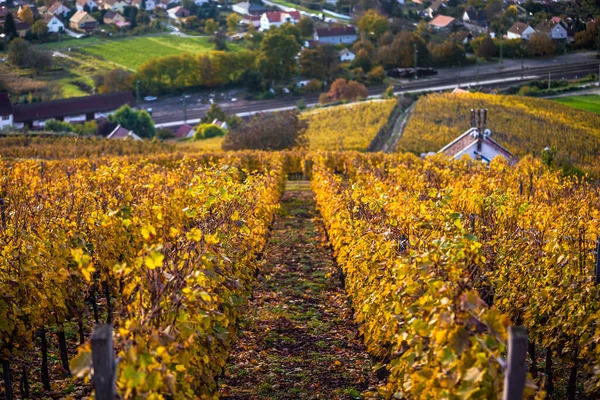 Tokaj Hungary World Famous Hungarian Vineyards Tokaj Wine Region Taken — Stock Photo, Image