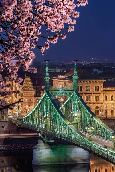 Budapest Hungary Illuminated Liberty Bridge River Danube Dusk Cherry Blossom — Stock Photo, Image