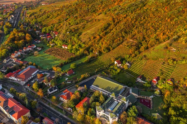 Tokaj Hungria Vista Aérea Das Vinhas Húngaras Mundialmente Famosas Região — Fotografia de Stock