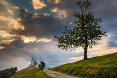 Jamnik, Slovenya - Jamnik St. Primoz kilisesinde küçük çakıl yolu ve ağacı olan büyülü sisli bir yaz sabahı. Sis, mavi gökyüzü ve arka planda yükselen güneşle küçük bir şapelin etrafında dönüyor.
