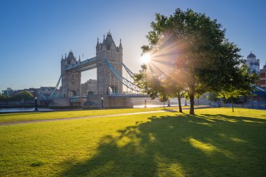Tower Bridge ağaç ve yeşil çimen, Londra, İngiltere ile güneş doğarken