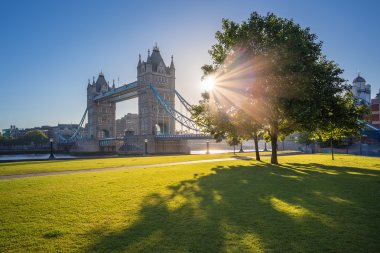Sunrise at Tower Bridge with tree and green grass, London, UK