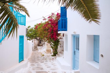 Mykonos Streetview palm ile yaprakları, Yunanistan