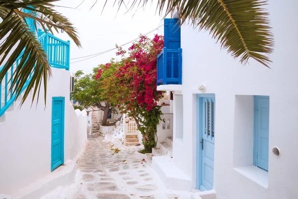 Vue sur la rue de Mykonos avec des feuilles de palmier, Grèce — Photo