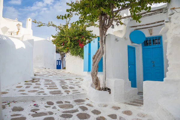 Mykonos streetview mavi kapı ve ağaçlar, Yunanistan