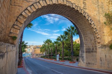 Palmiye ağaçları ve mavi gökyüzü - Valletta, Malta, Malta kemer