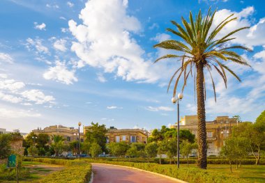 Sliema, Malta güneşli bir günde palmiye ağacı ve mavi gökyüzü