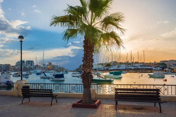 Prachtige zonsopgang met bankjes, palmboom en zeilboten op de baai van Sliema, Malta — Stockfoto
