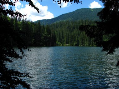 Ukrayna contryside güzel doğada