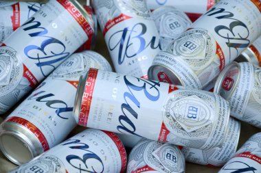 KHARKOV, UKRAINE - 22 Ağustos 2020: Birçok konserve Budweiser Alkol Birası kamuflaj yüzeyinde yatar. Budweiser, Anheuser-Busch Inbev 'den Amerika' nın en popüler markasıdır.
