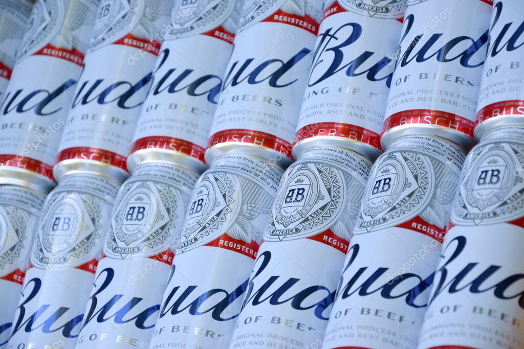 KHARKOV, UKRAINE - AUGUST 22 2020: Many Cans of Budweiser Lager Alcohol Beer lies on camo surface. Budweiser is Brand from Anheuser-Busch Inbev most popular in America