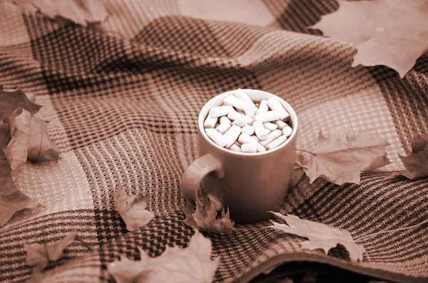 Podzimní Listí Horký Šálek Kávy Leží Kostkovaném Kostkovaném Venkovním Prostranství — Stock fotografie