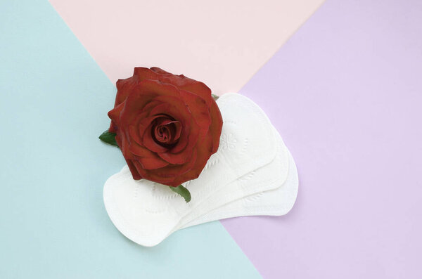 Menstrual pads and red rose flower on multicolored background flat lay. Aspects of women wellness in monthlies period. Woman critical days gynecological menstruation cycle
